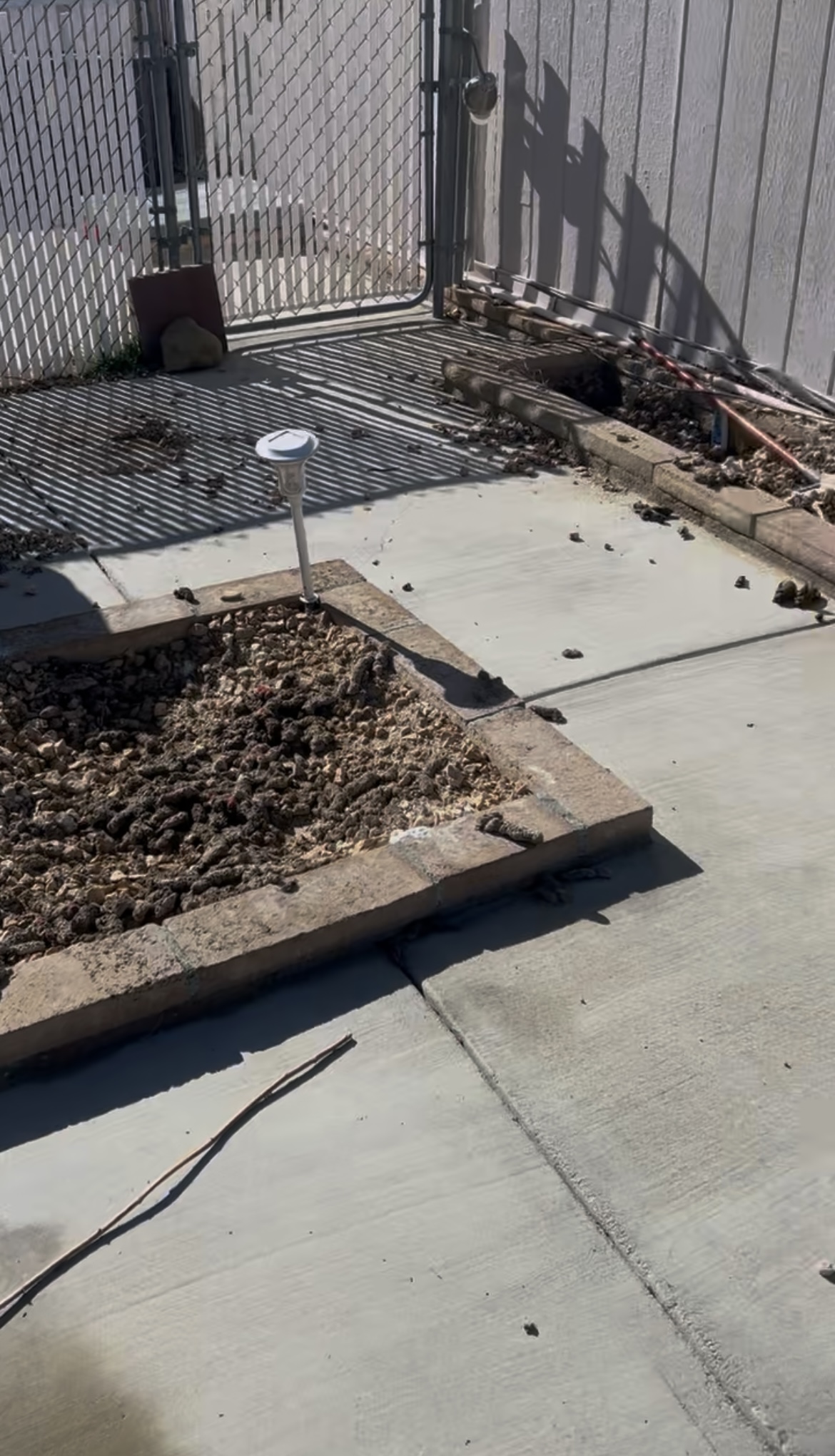 Patio before dog waste cleanup Antelope Valley